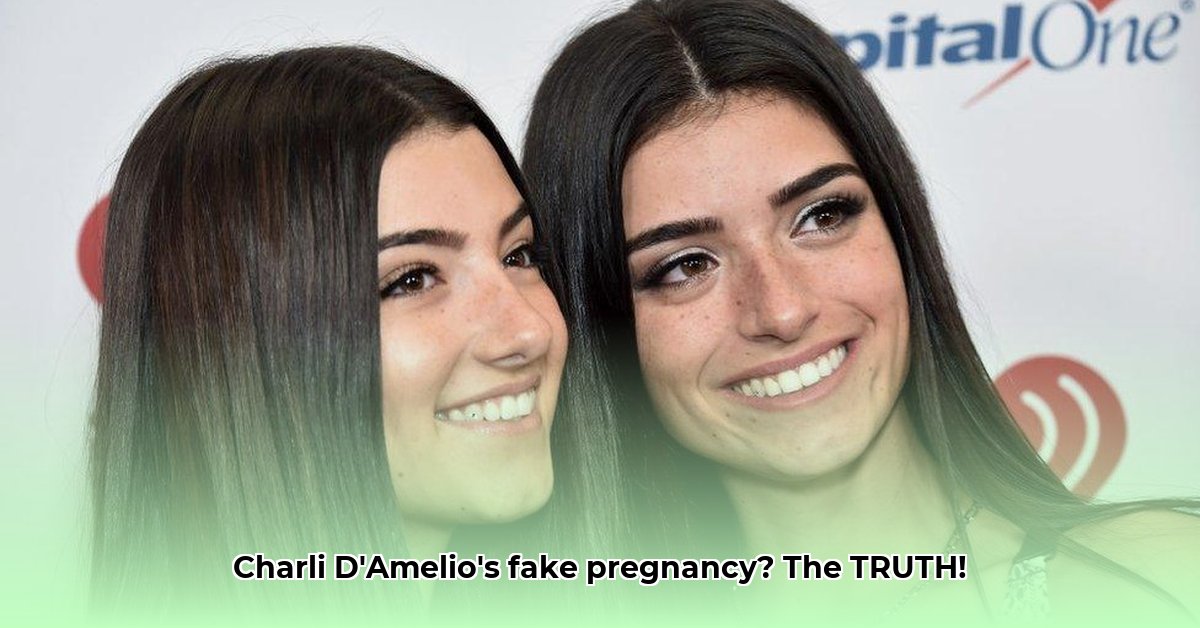 charli-damelio-fake